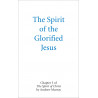 Spirit of the Glorified Jesus, The