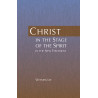Christ in the Stage of the Spirit in the New Testament
