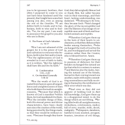 New Testament Recovery Version (Pocketsize, 3 1/2" x 5 3/16", Burgundy, Text only)