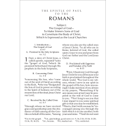 New Testament Recovery Version (Pocketsize, 6 1/8" x 4 3/8", Burgundy, Text only)