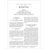 New Testament Recovery Version (Pocketsize, 3 1/2" x 5 3/16", Burgundy, Text only)