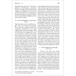 New Testament Recovery Version (Pocketsize, 3 1/2" x 5 3/16", Burgundy, Text only)