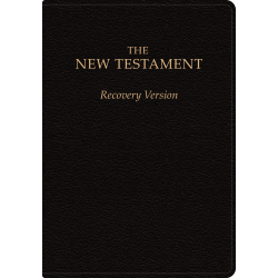 New Testament Recovery Version (Black, Bonded Leather, Large)
