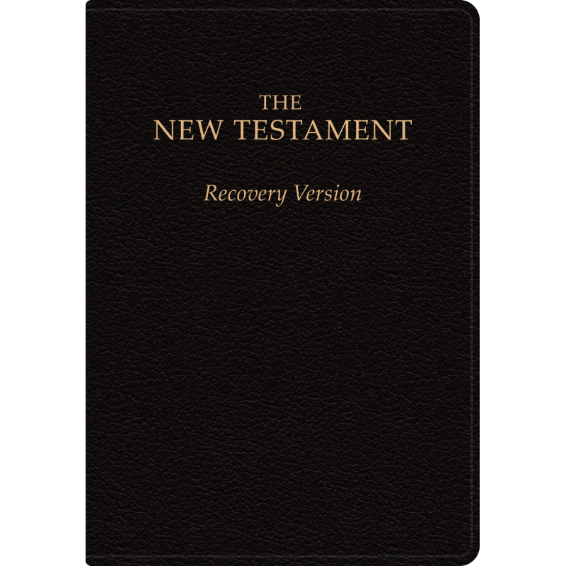 New Testament Recovery Version (Black, Bonded Leather, Large)