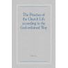 Practice of the Church Life according to the God-ordained Way, The