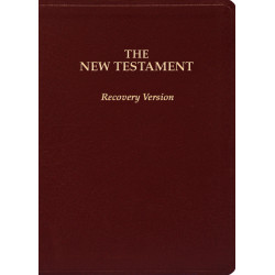 New Testament Recovery Version (Burgundy, Bonded leather, Small, 7" x 4 7/8")