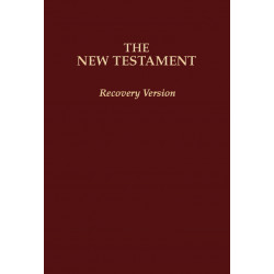 New Testament Recovery Version (Burgundy, Economy w/footnotes, Softbound, 6 3/4" x 4 1/2")