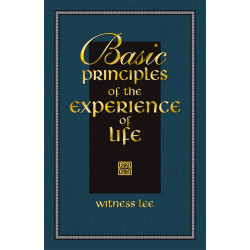 Basic Principles of the Experience of Life