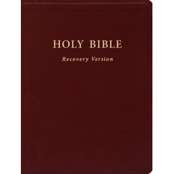 Holy Bible Recovery Version (Text only, Burgundy, Bonded leather, 6 1/4" x 8 1/4")