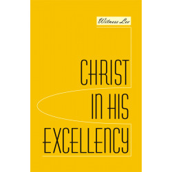 Christ in His Excellency