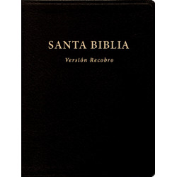 Santa Biblia, Versión Recobro (Con notas, negro, piel...