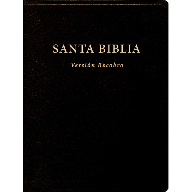 Santa Biblia, Versión Recobro (Con notas, negro, piel fabricada, 10" x 7 1/8")