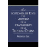 Economía de Dios y el misterio de la transmisión de la Trinidad Divina, La